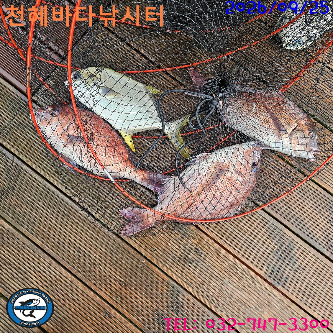 1790331434111.jpg