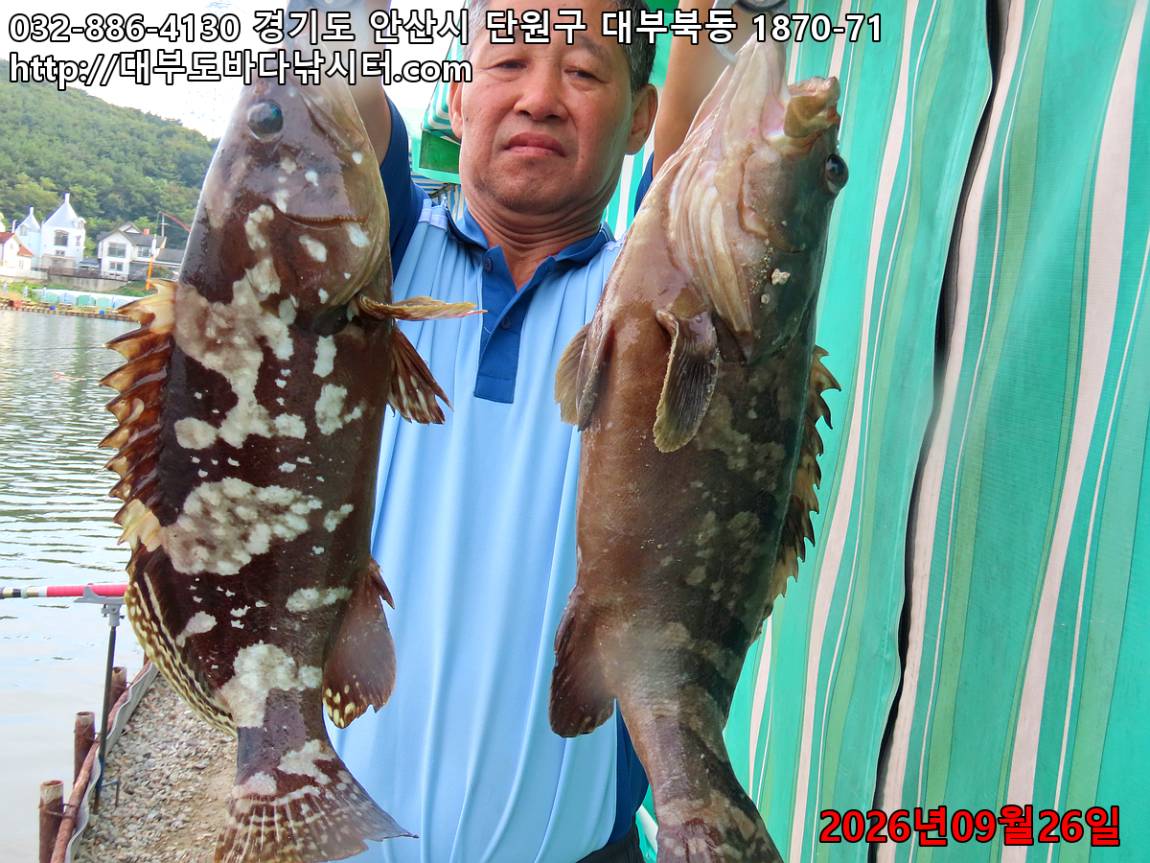11.jpg