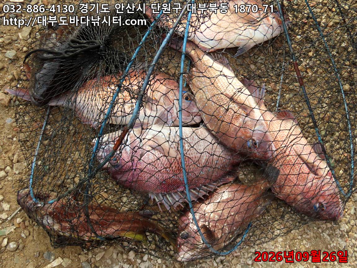 IMG_3364_b7135d6dd7dead9b_8a2fc2b800895721.jpg