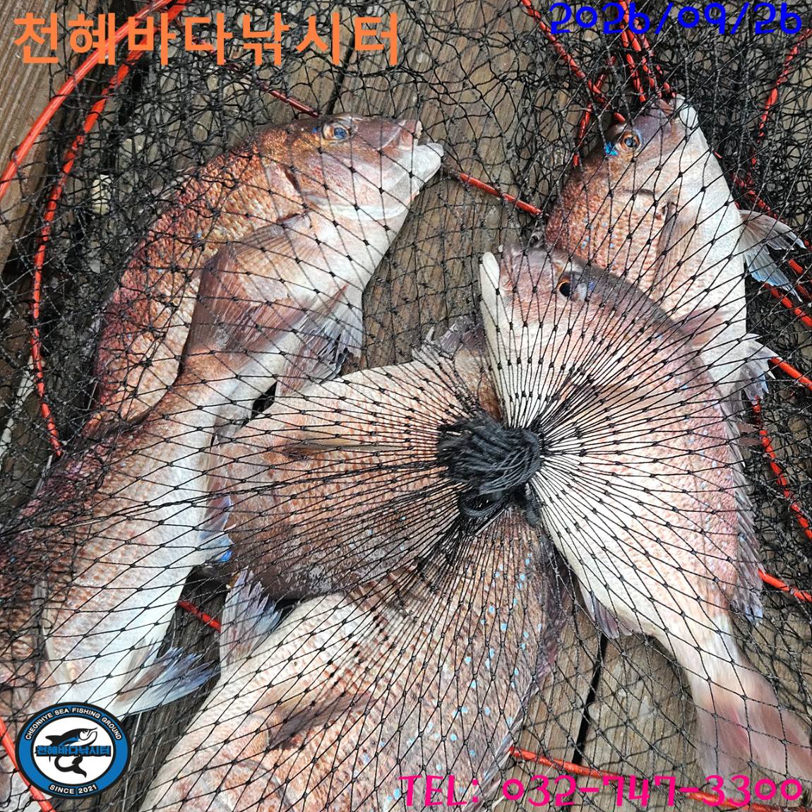 1790418339724.jpg