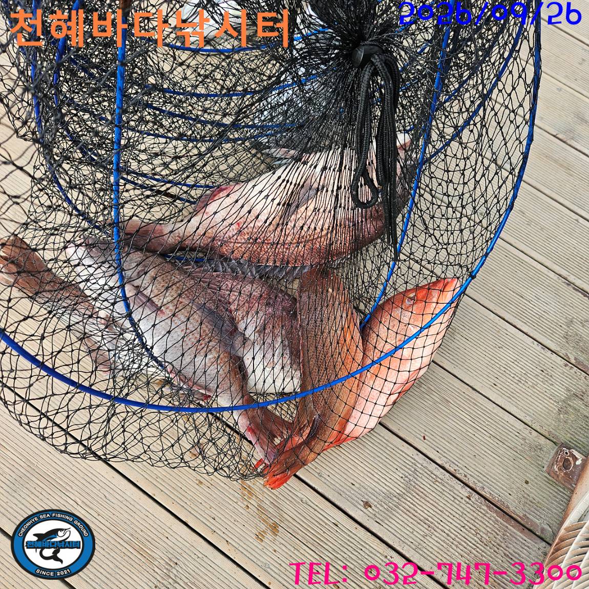1790418339963.jpg