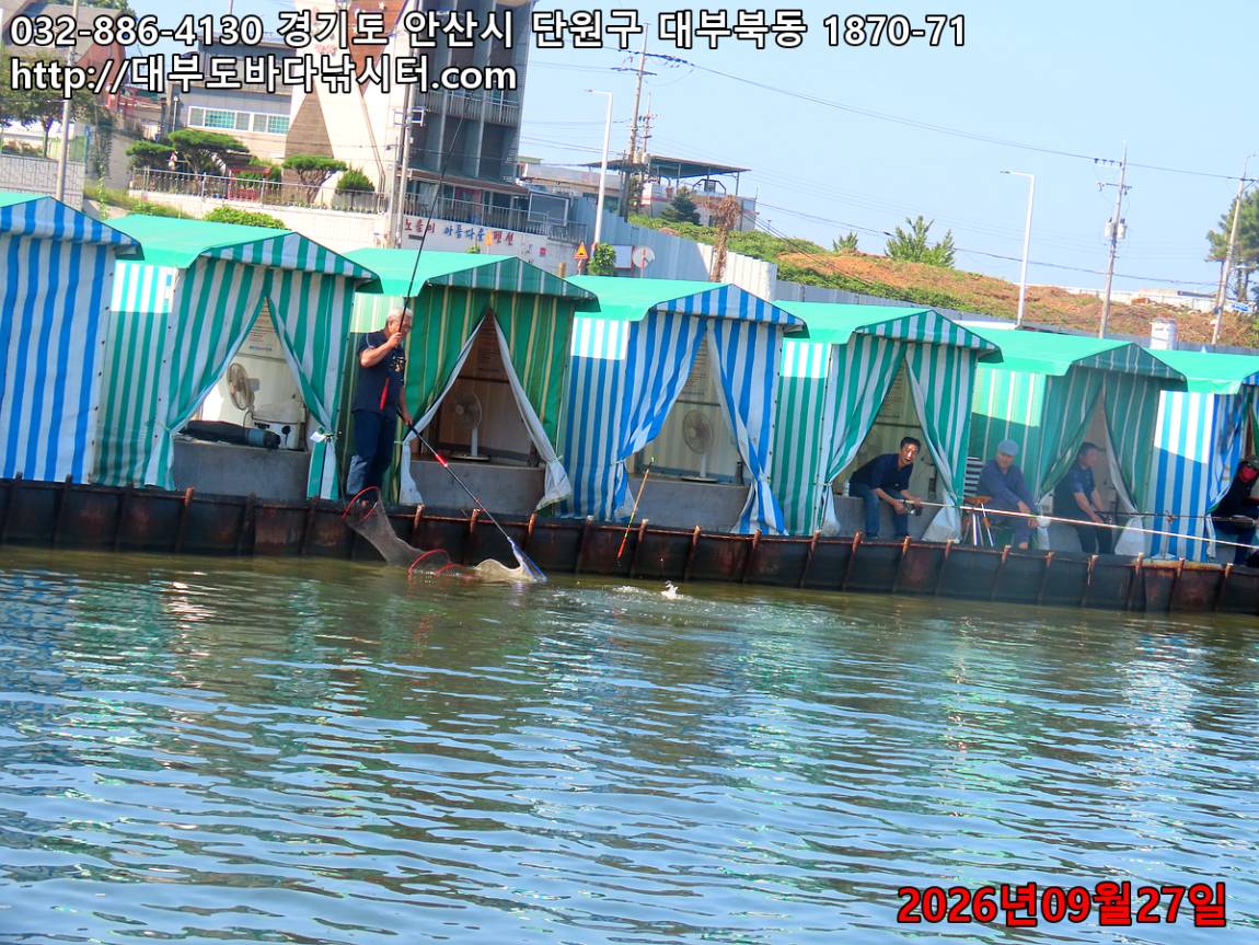 IMG_3398_f2f89b3729a3dc68_44631a7d58fb7ecd.jpg