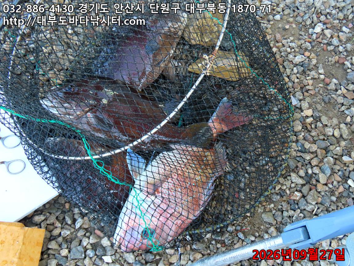 IMG_3444_9c66ab2fdd2582b7_b87f7ed1e9c27700.jpg