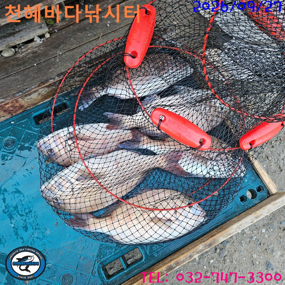 1790503320162.jpg
