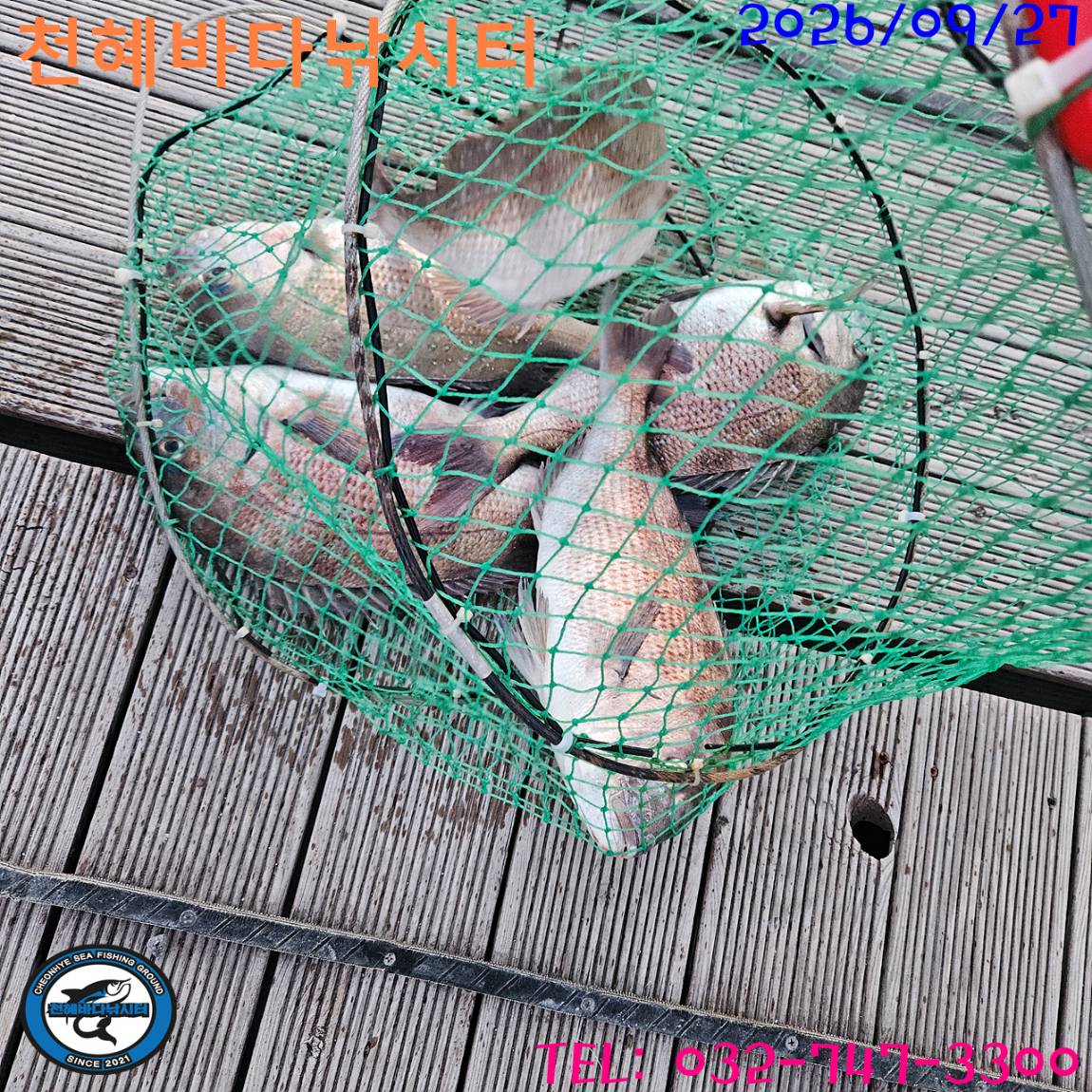 1790503320036.jpg