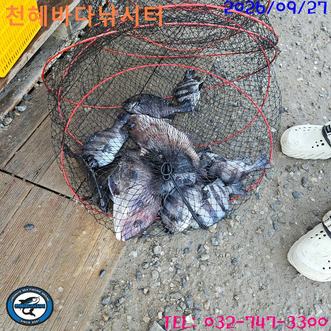 1790503320283.jpg