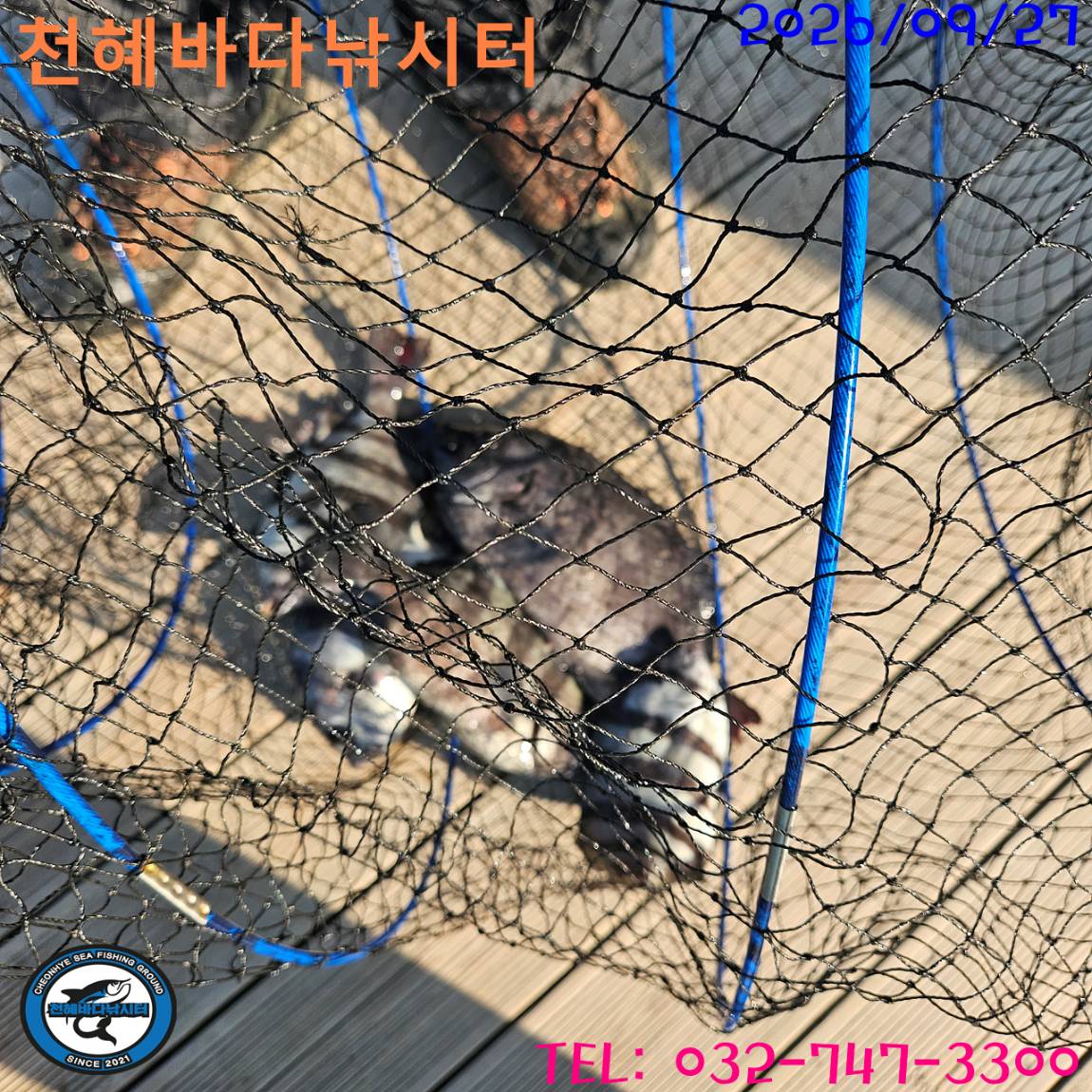 1790503320606.jpg