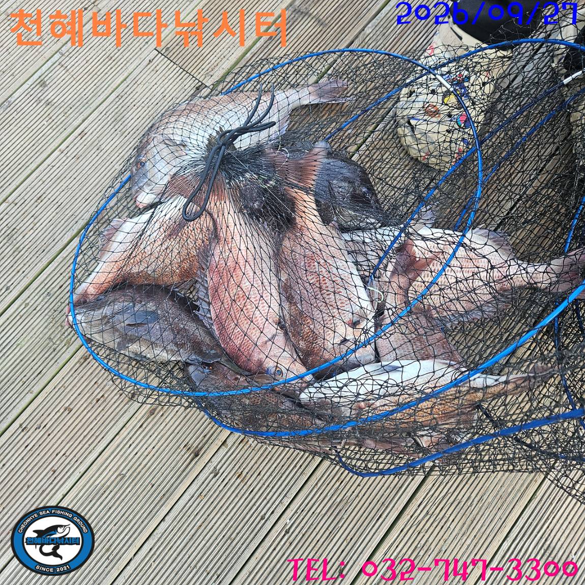 1790503321727.jpg