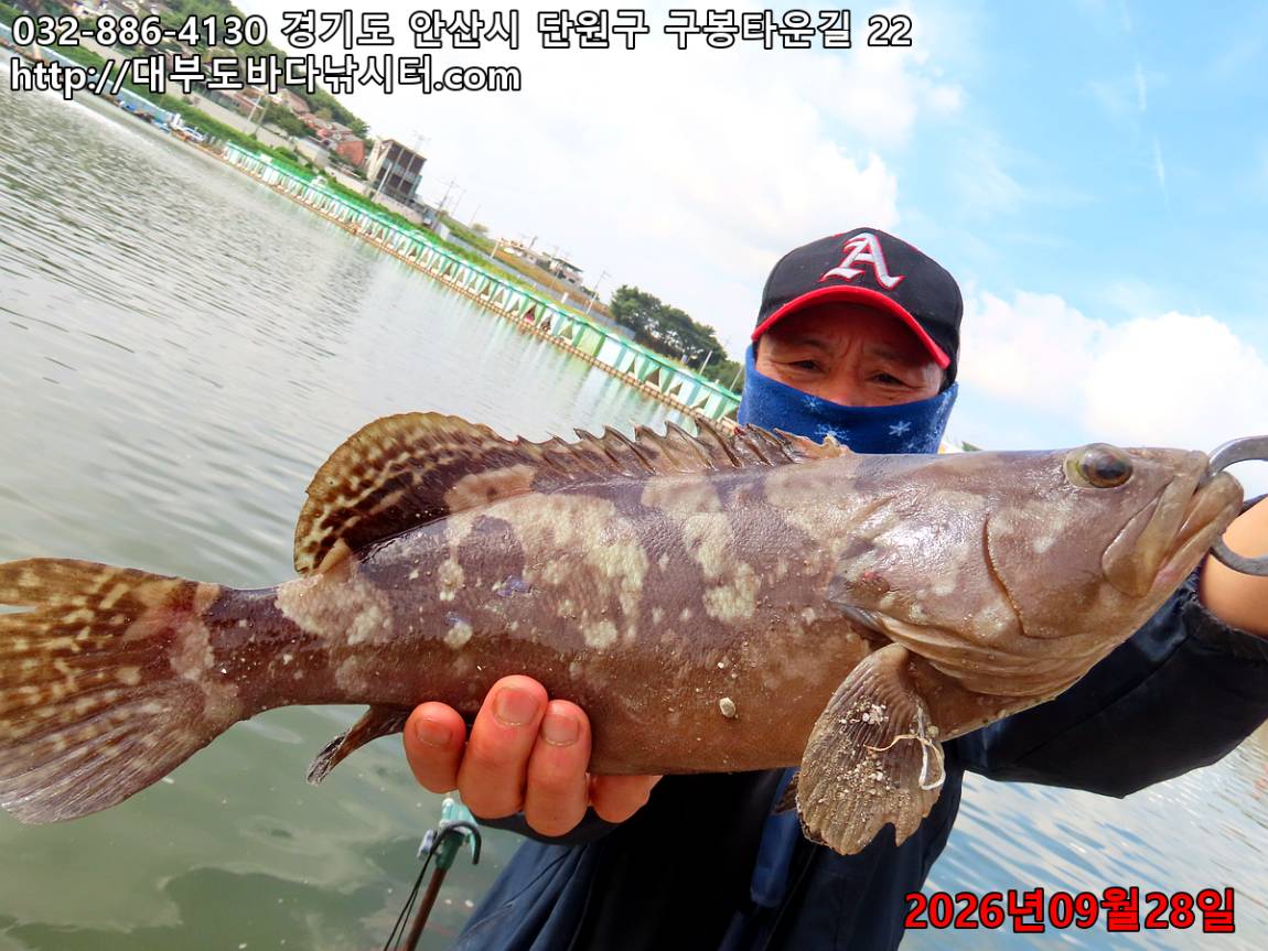IMG_3488_40f1fb7f2d7cf8d9_fa917cc2d765ccd7.jpg