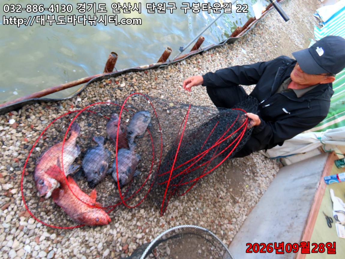 IMG_3492_2db46980cbd8895c_254b94c4b19bf733.jpg