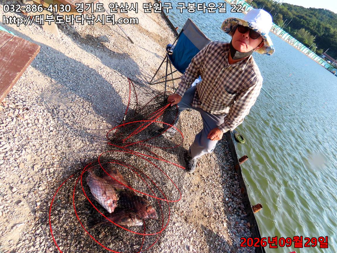 IMG_3542_bb7d4baaa8dea8f6_f14943c0eab800da.jpg