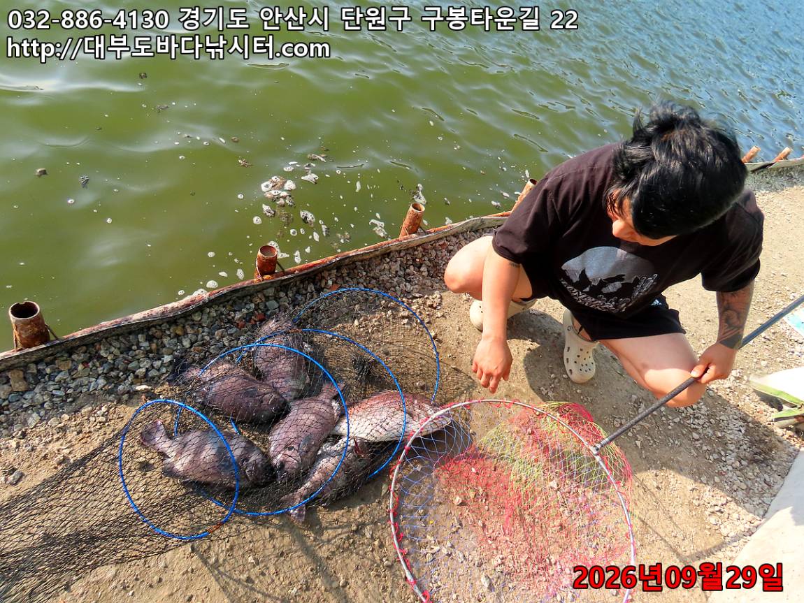 IMG_3550_59e58f54b5ffeb6c_084b0226bad4f313.jpg