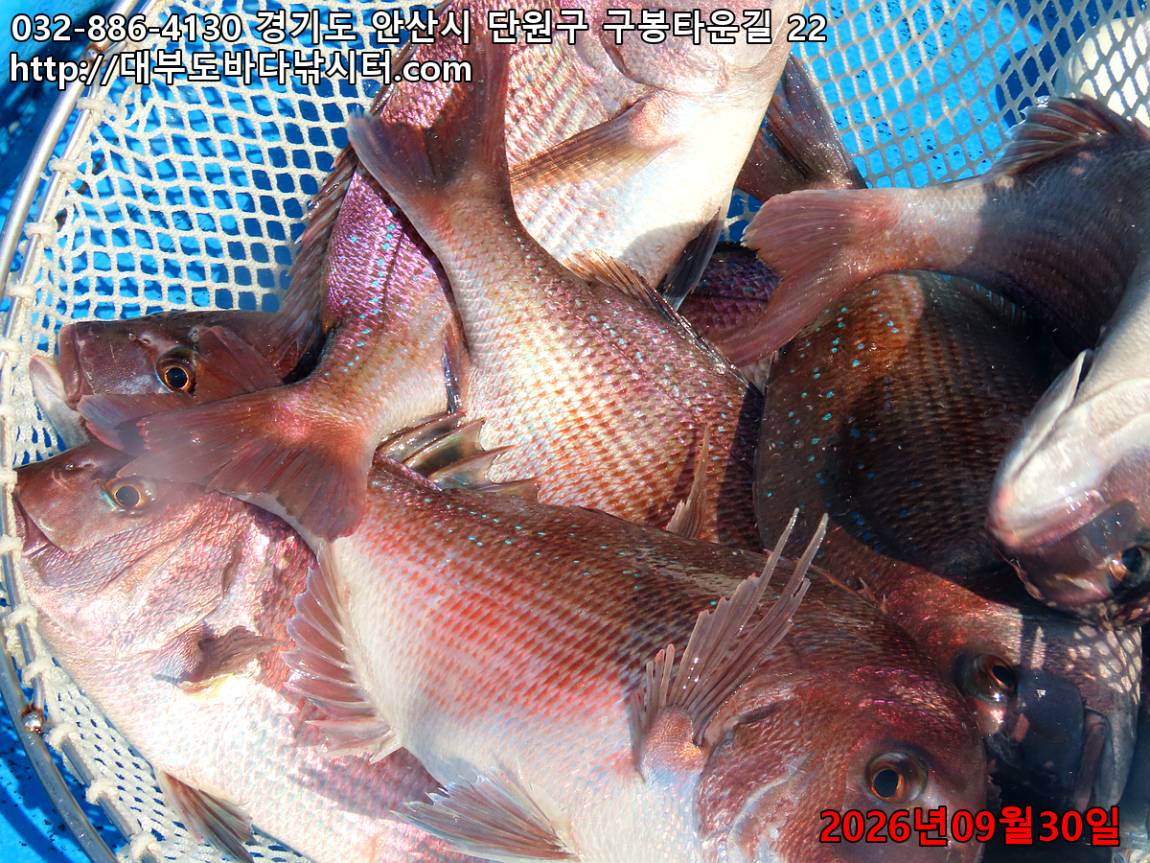 IMG_3578_5f18a6ef6be4ff17_ff6dd6170eede359.jpg