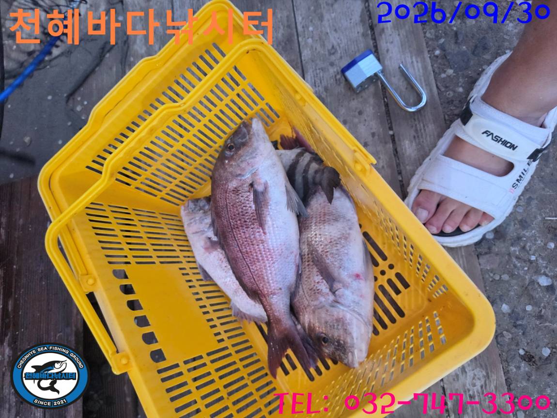 1790806408429.jpg