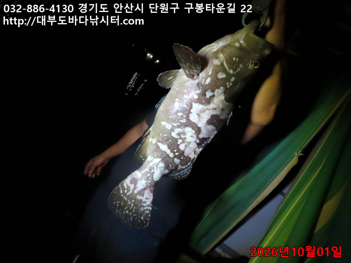 IMG_3650_b79afc49e2c83b1c_ce94e3cf80d1d934.jpg