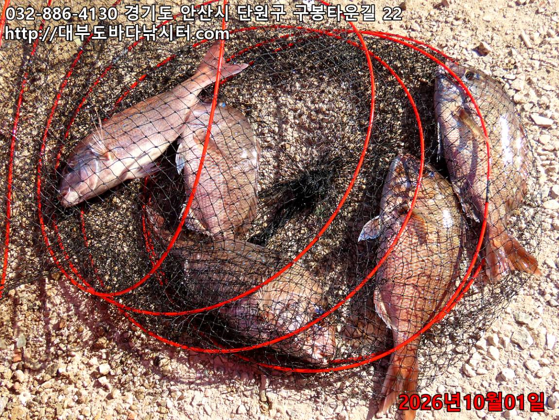 IMG_3715_0806684ca7bd9b35_8bab7737a8b3cfb8.jpg