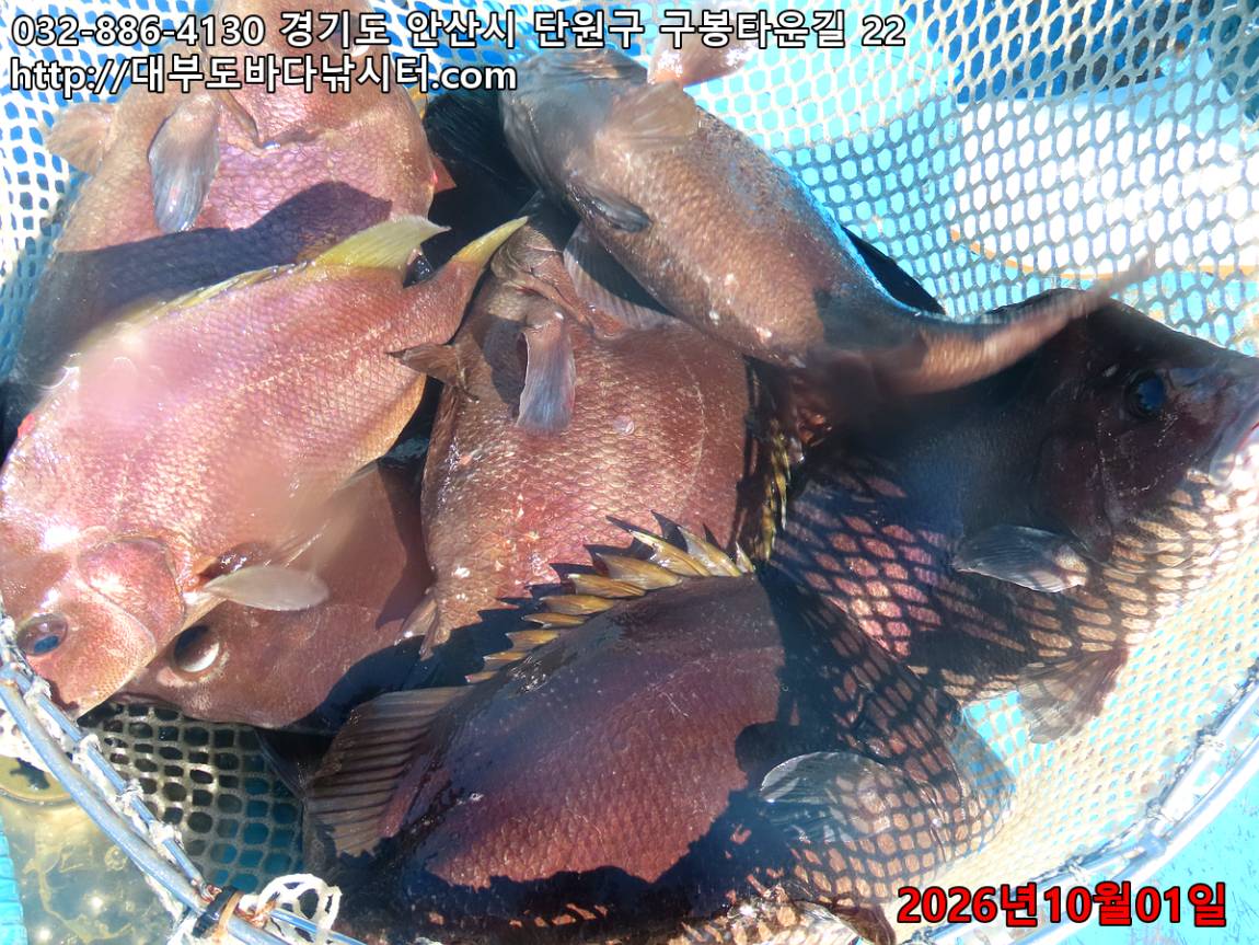 IMG_3665_6835bdd9a7a42877_d4849bfb6eca0000.jpg