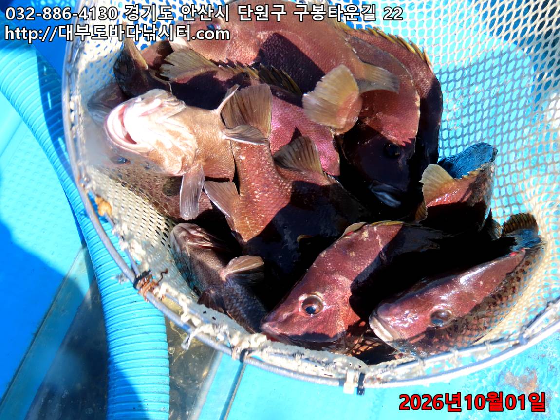 IMG_3683_4e6cab11b3242a0e_365c8e31bbe7f2b4.jpg