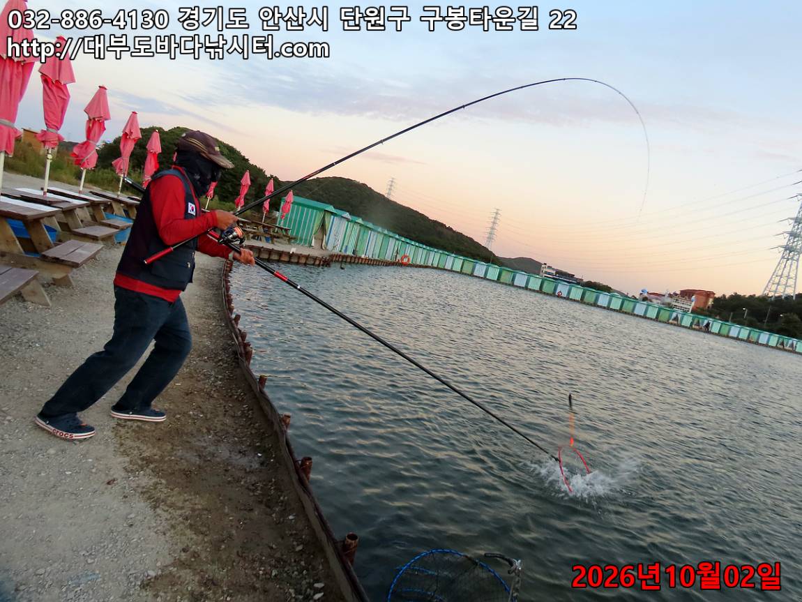 IMG_3740_9879c1aa17cd8947_02d631ee753b6342.jpg