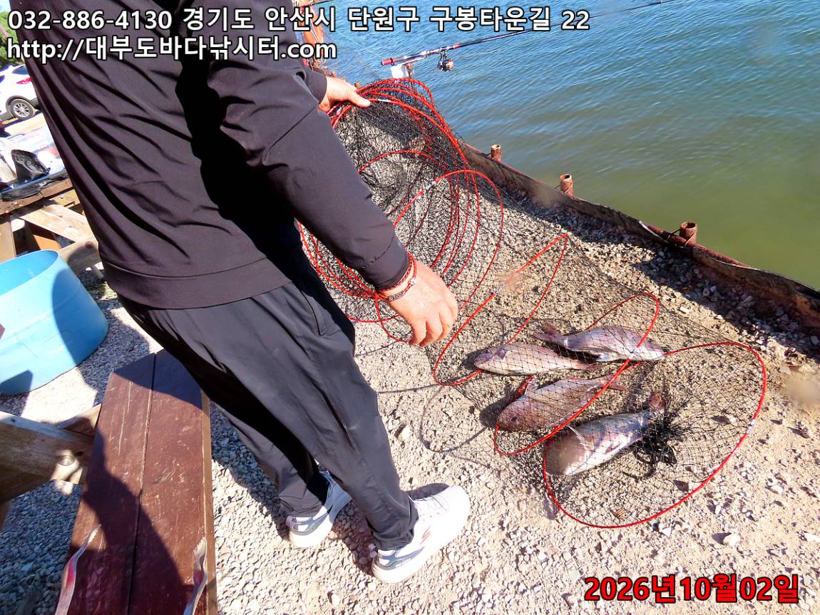 IMG_3763_3bee930bcdcabe32_3d1952e5d26d77f5.jpg