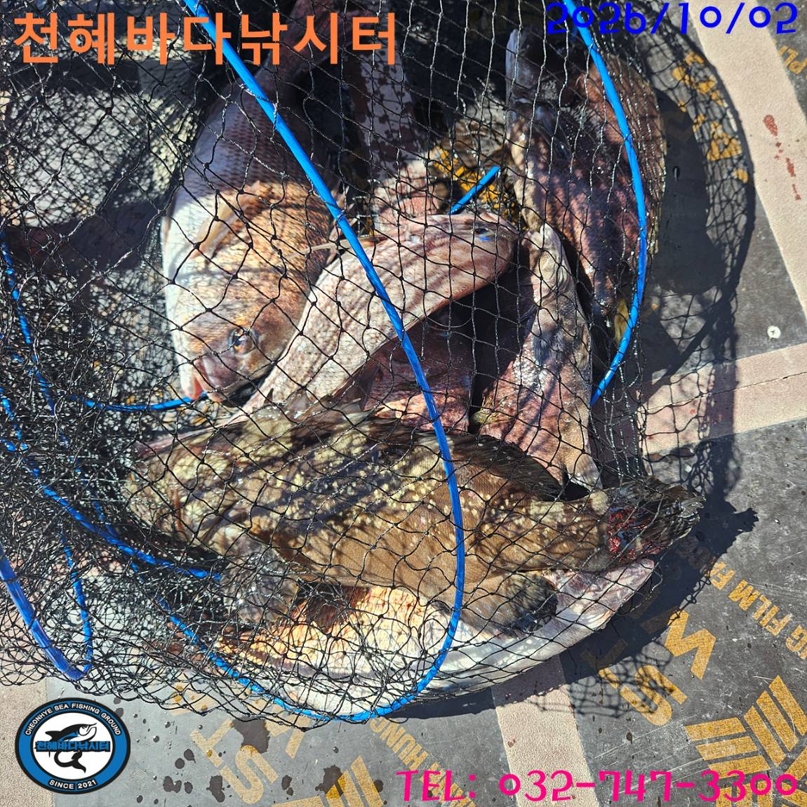 1790935932543.jpg
