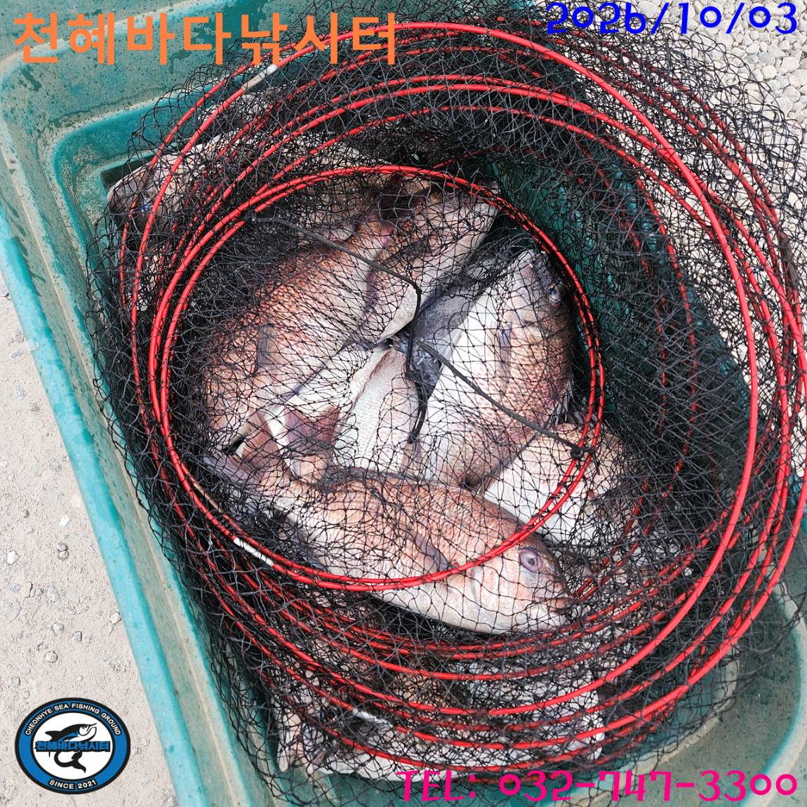 1791022125118.jpg