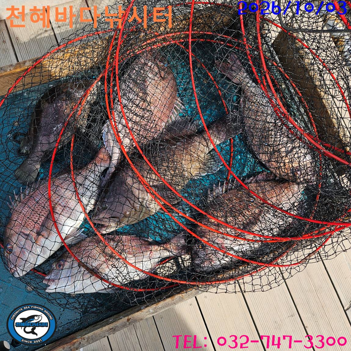 1791022125949.jpg