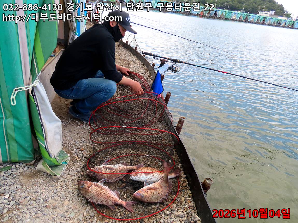 IMG_3937_eb6c449ca7c3f646_f981b29b3ec83008.jpg