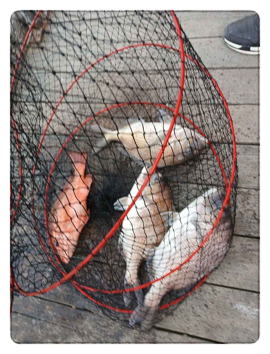 070.jpg