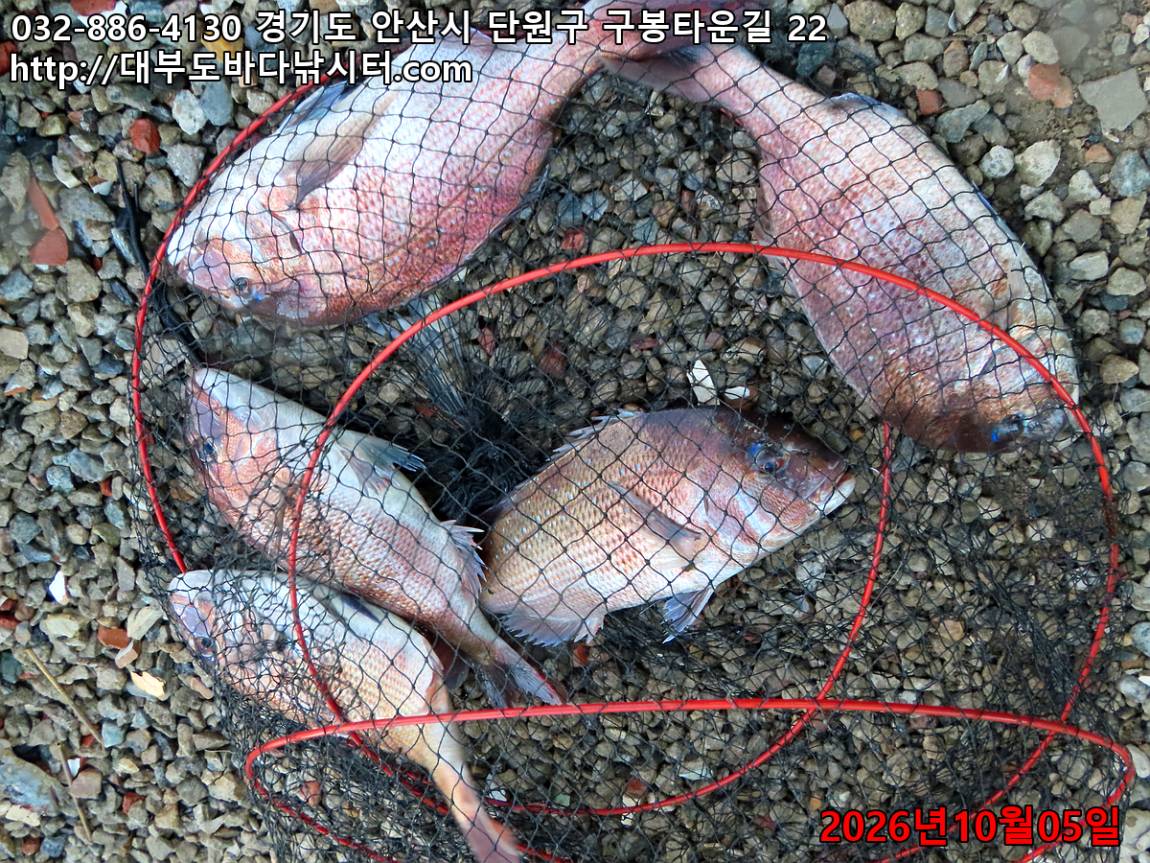 IMG_3977_c360d41cba804fbe_f7fb8a761ef6ffb7.jpg