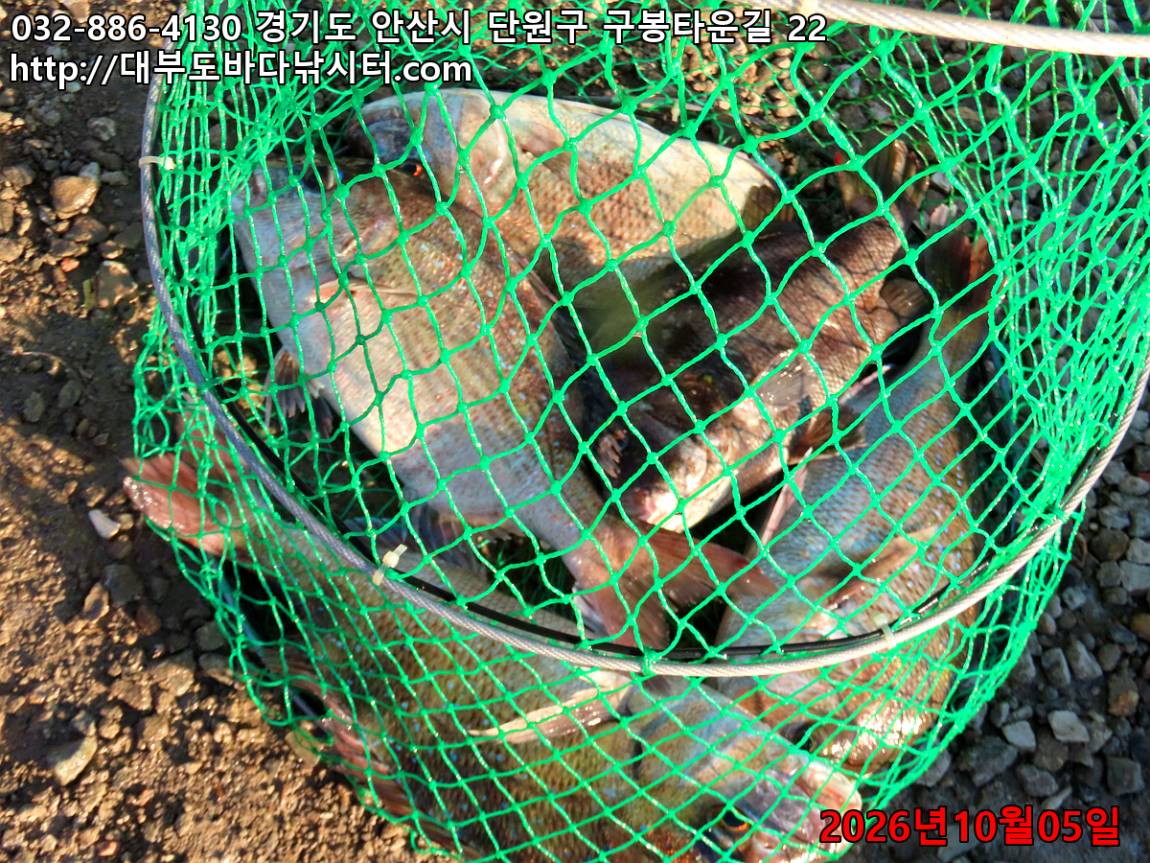 IMG_4008_174eea320f932ee3_386692a95cf52749.jpg