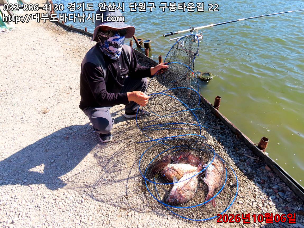 IMG_4033_00335953dcd0f098_169bd9073dbaccf7.jpg