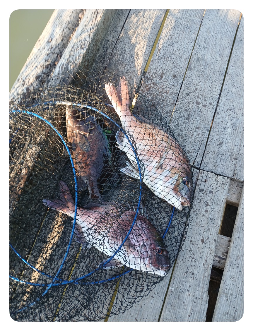 021.jpg
