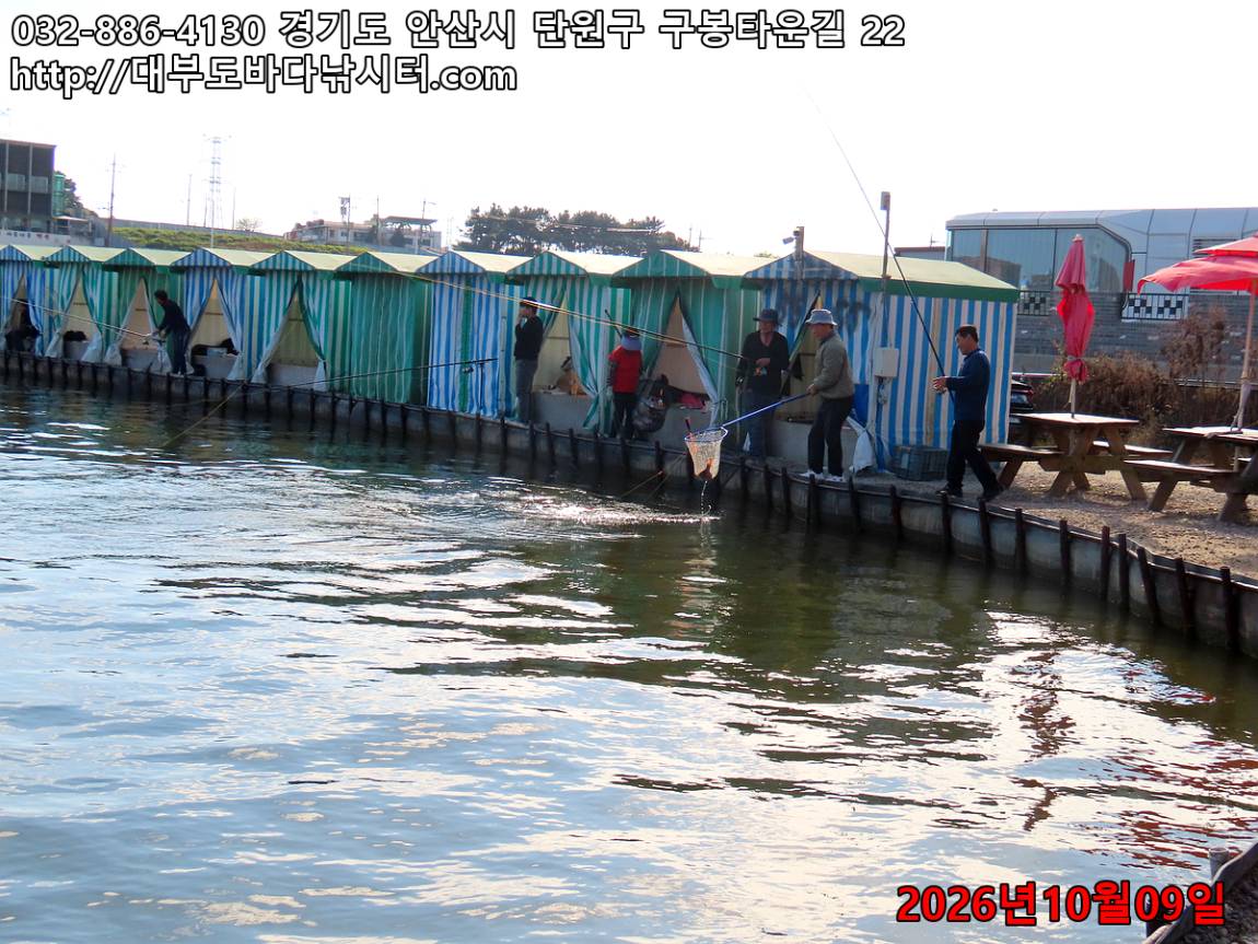IMG_4229_0862dd19c65222cb_abda388fb7bb012e.jpg