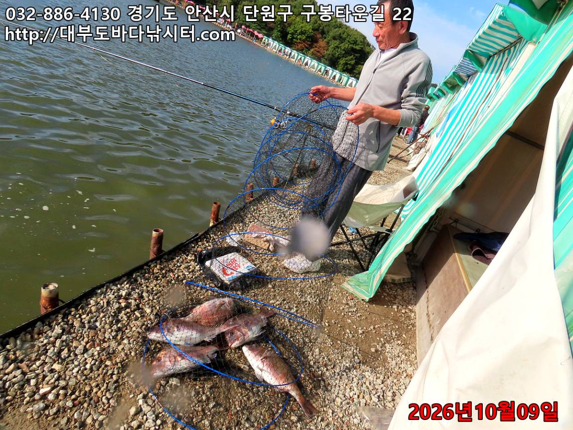 IMG_4253_6430efb4d5a10afe_5175ac6b2ccce30b.jpg