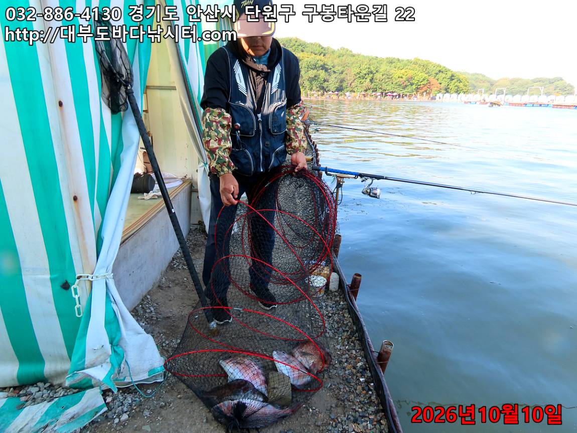 IMG_4317_8284ceb50a0ddee3_f07b84ecca94ed5b.jpg