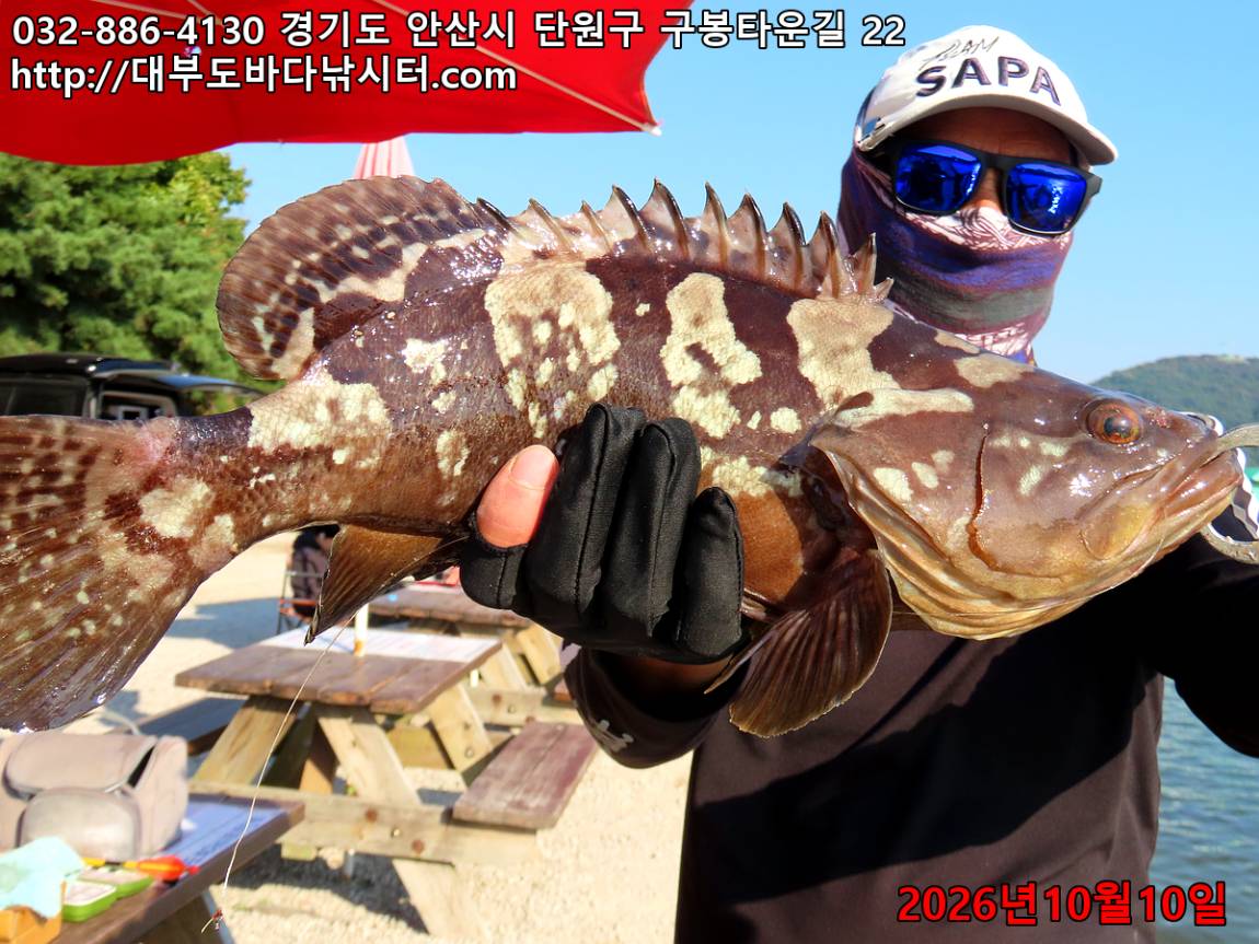 IMG_4329_ca6c14f90a0c561c_a5c98b59912208a6.jpg