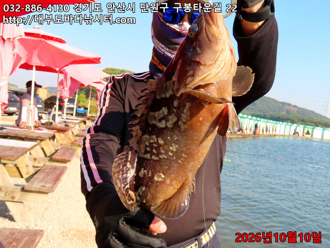 IMG_4328_782773884fc95037_62ace4071ffa2cef.jpg