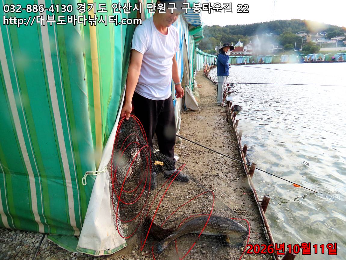 IMG_4417_bb27347a3b05e7eb_4fb12d9bda768215.jpg