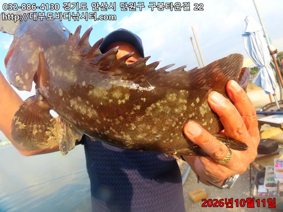 IMG_4445_34a1bcb001120961_874e970ad29bd3ed.jpg