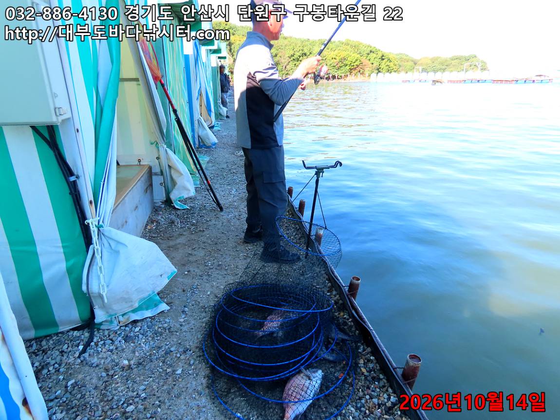 IMG_4515_38b2a44240cc0b6f_de77d590ae522cc6.jpg