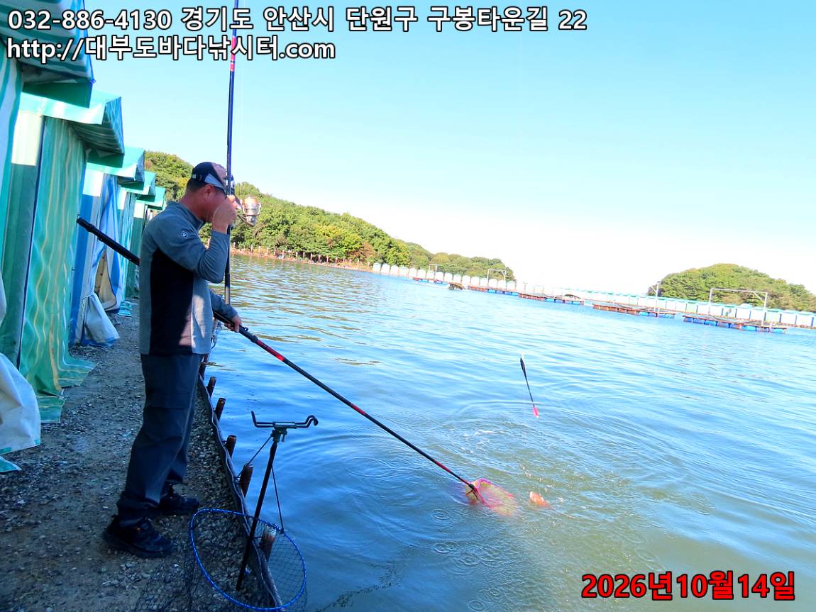 IMG_4516_f14b5c11ed70eb8d_9d34532198ba7696.jpg