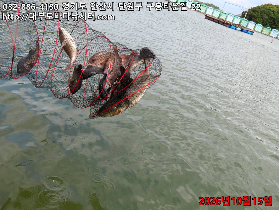 IMG_4553_6bd85e31a148e254_adb4270f5961eb5c.jpg