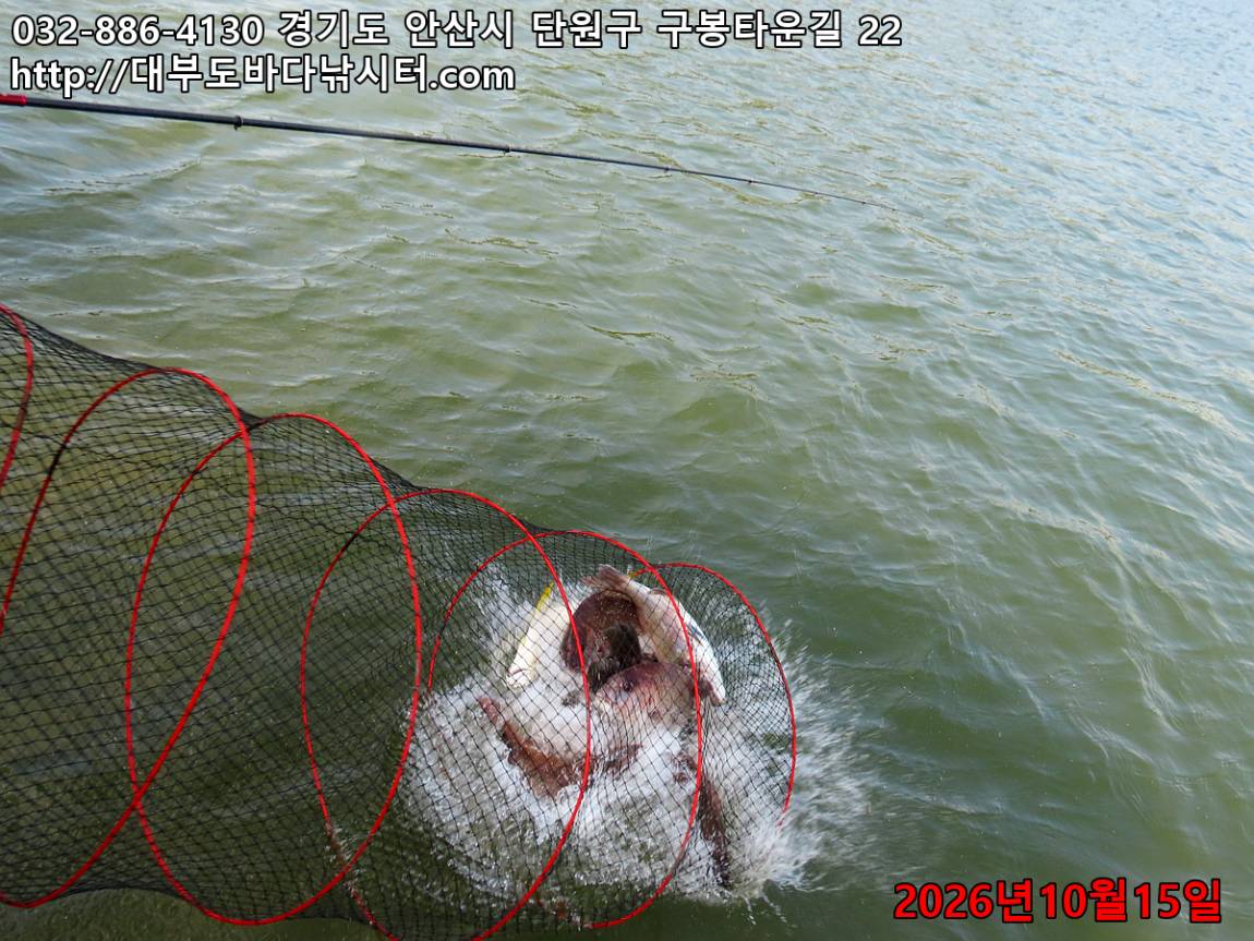 IMG_4566_c02b7f0fefad9ed9_336cf02b76fe8f75.jpg