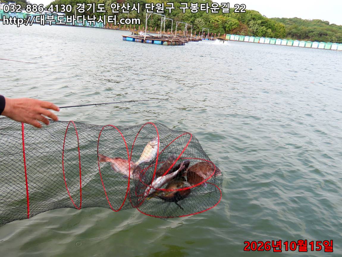 IMG_4576_380f49522bd30bdf_ebc8df7dcccb323f.jpg