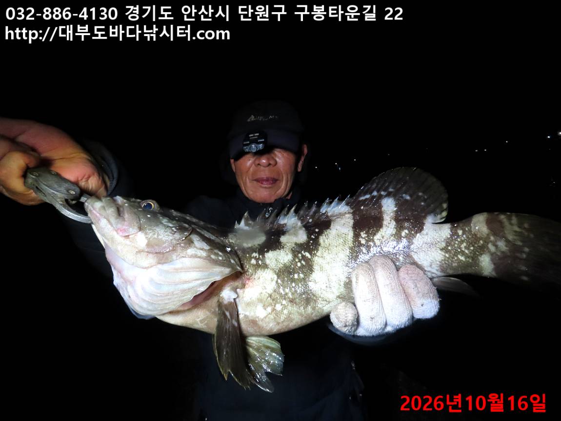 IMG_4660_cadc7c22d79b2bc5_ecd8dbd26a630ce2.jpg