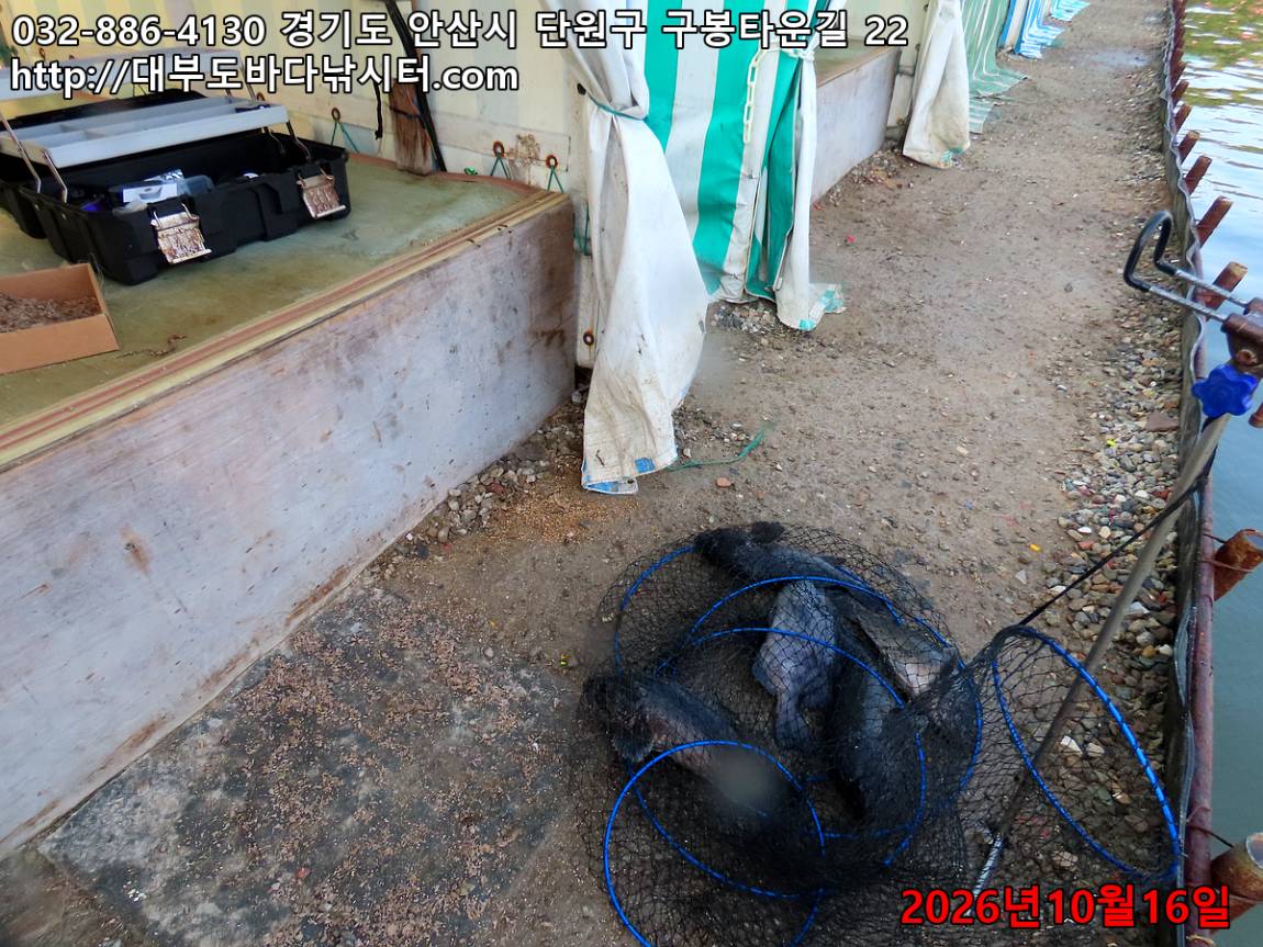 IMG_4688_7718ffcd1ee4cdef_ac7a07af3142e06f.jpg