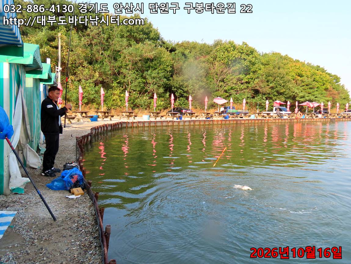 IMG_4694_72308713491cb20c_c6c205ba55b579e4.jpg