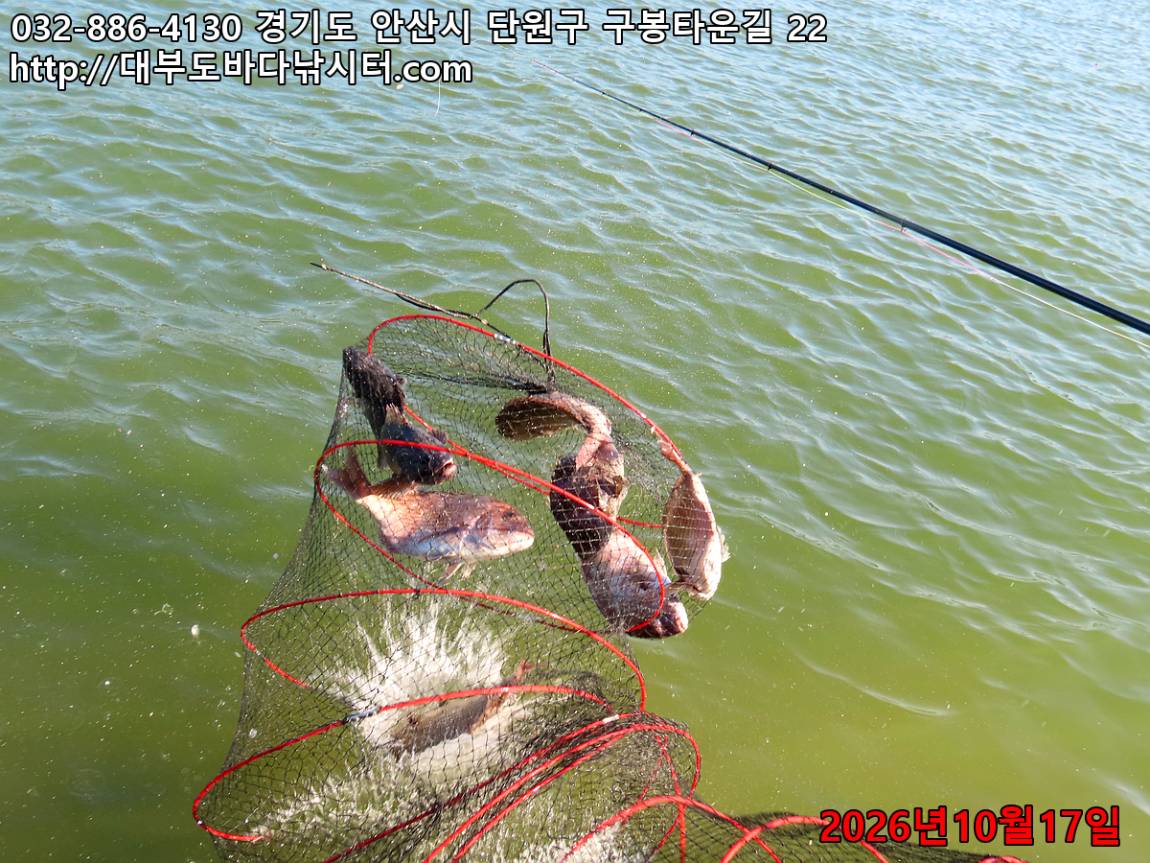 IMG_4728_b299bc9e8915fde4_c1d4a13a045594ee.jpg