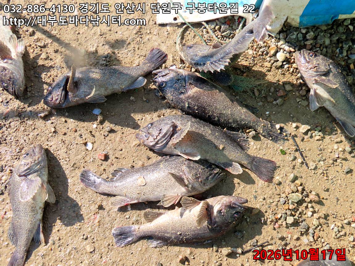IMG_4764_9285b8aadaa5f33c_f4783cbb538db6ca.jpg